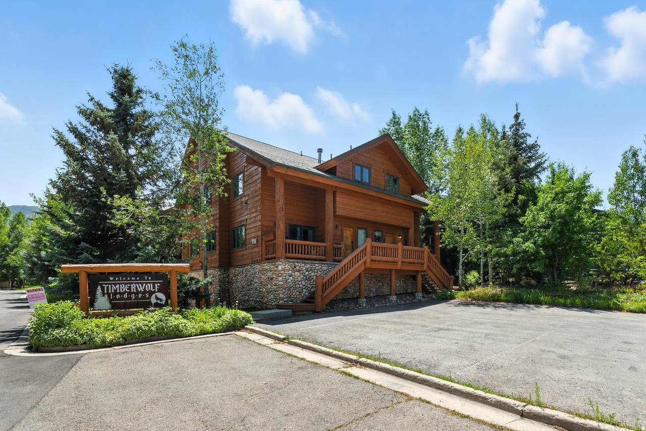 3995 Timberwolf Ln - Photo 1