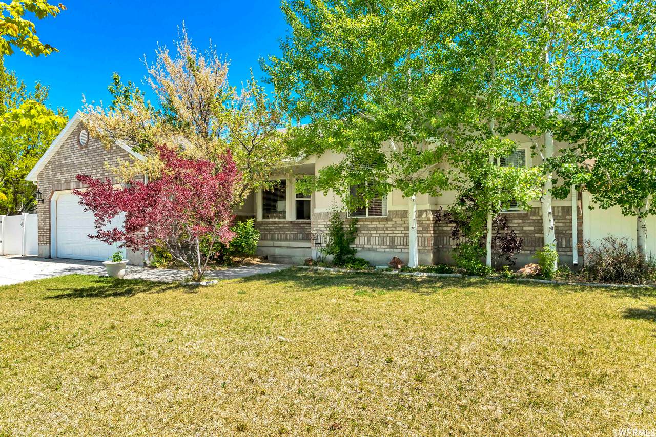 10187 Tranmere Ave - Photo 1