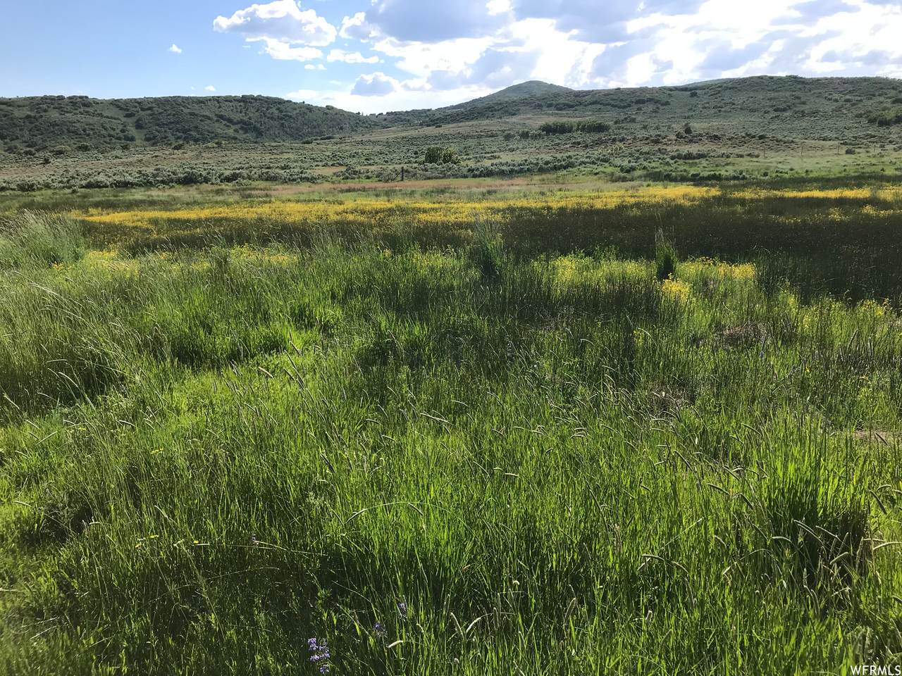 60 Corral - Photo 1