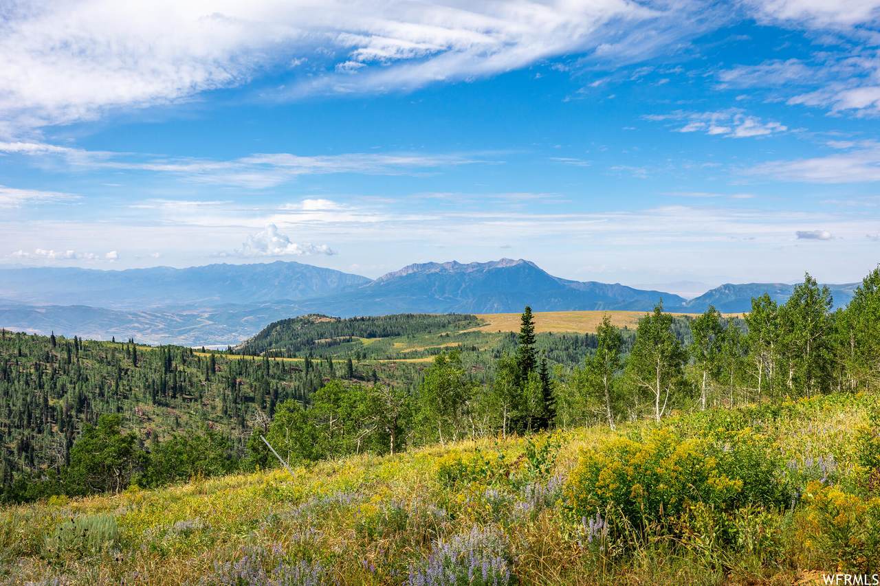 7781 Horizon Run Rd - Photo 1
