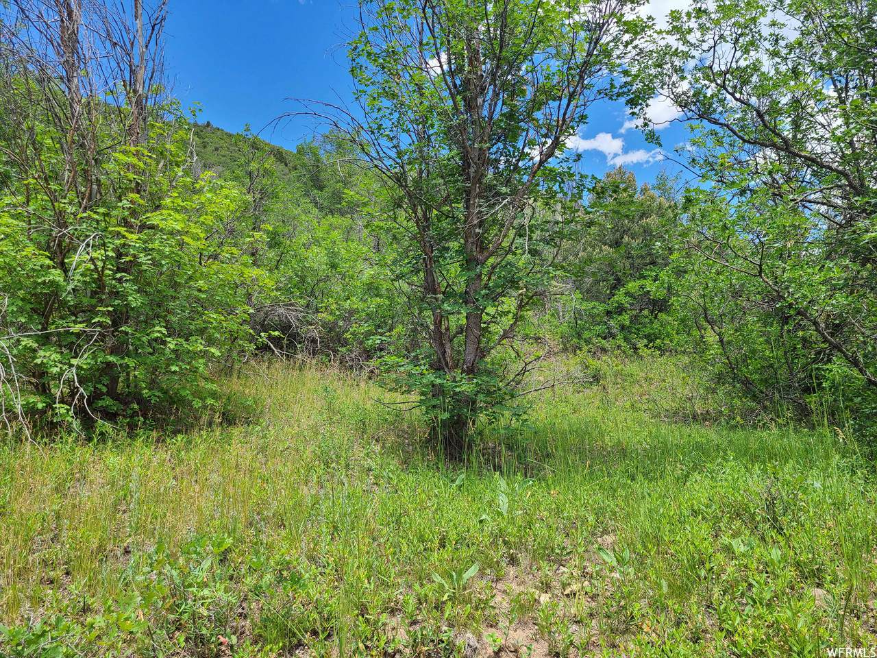 50 Birch Creek Dr - Photo 1