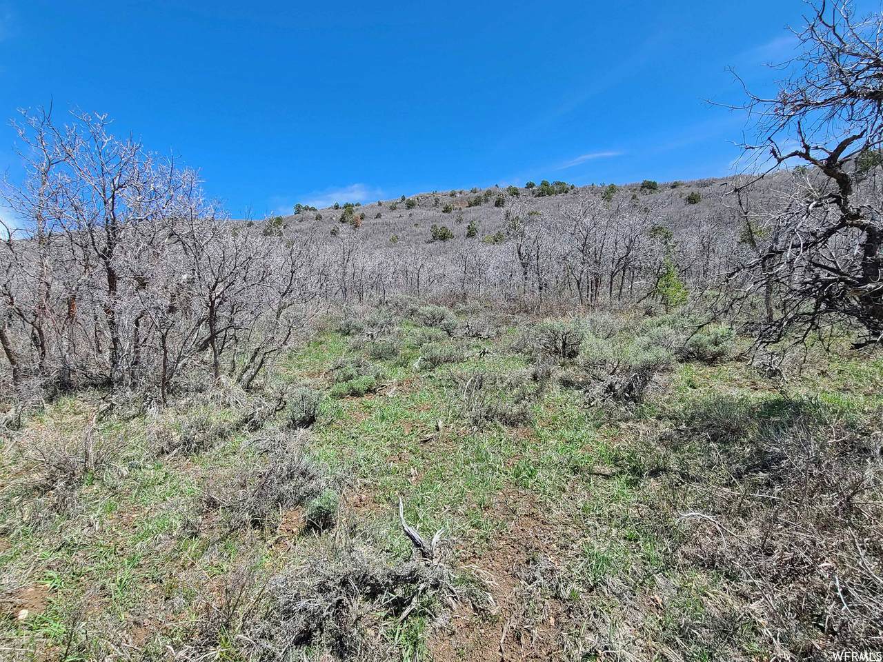 494 Valley View Dr - Photo 1