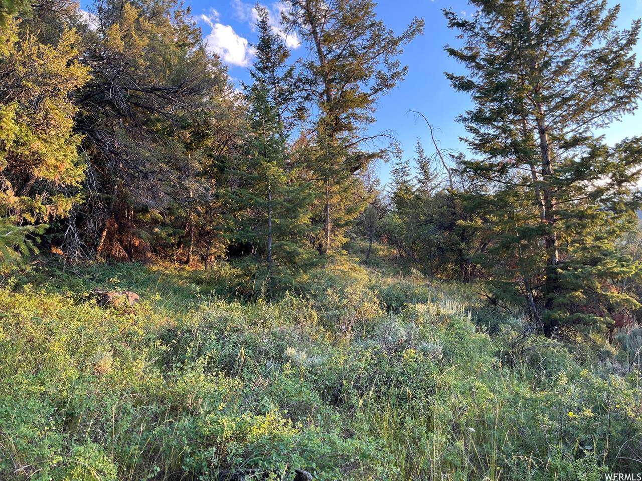 19451 16500 - Photo 1