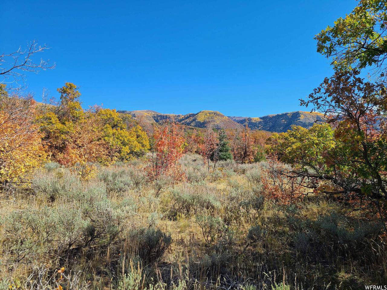 223 Canyon Creek Rd - Photo 1