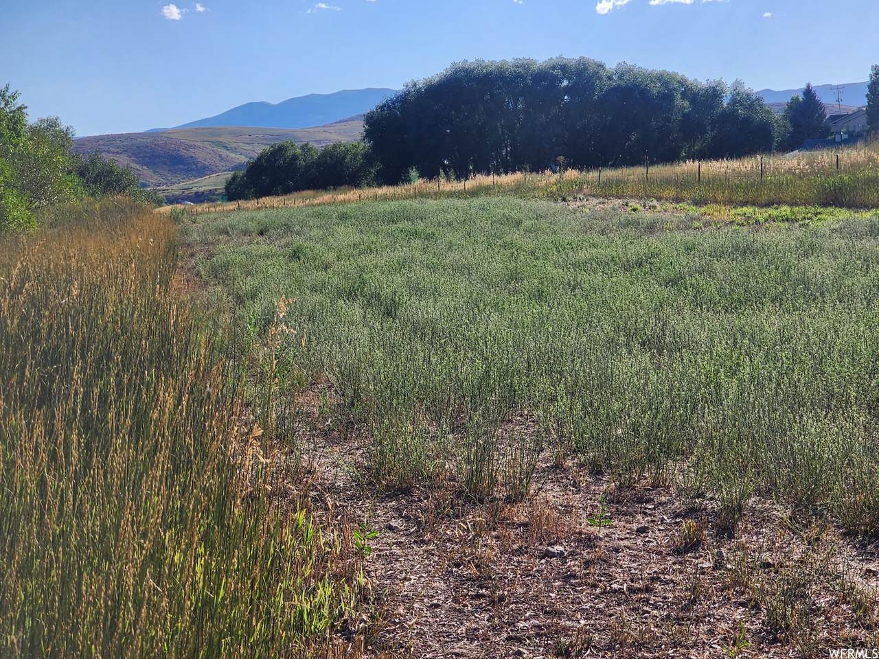 9740 Hwy 34 - Photo 1