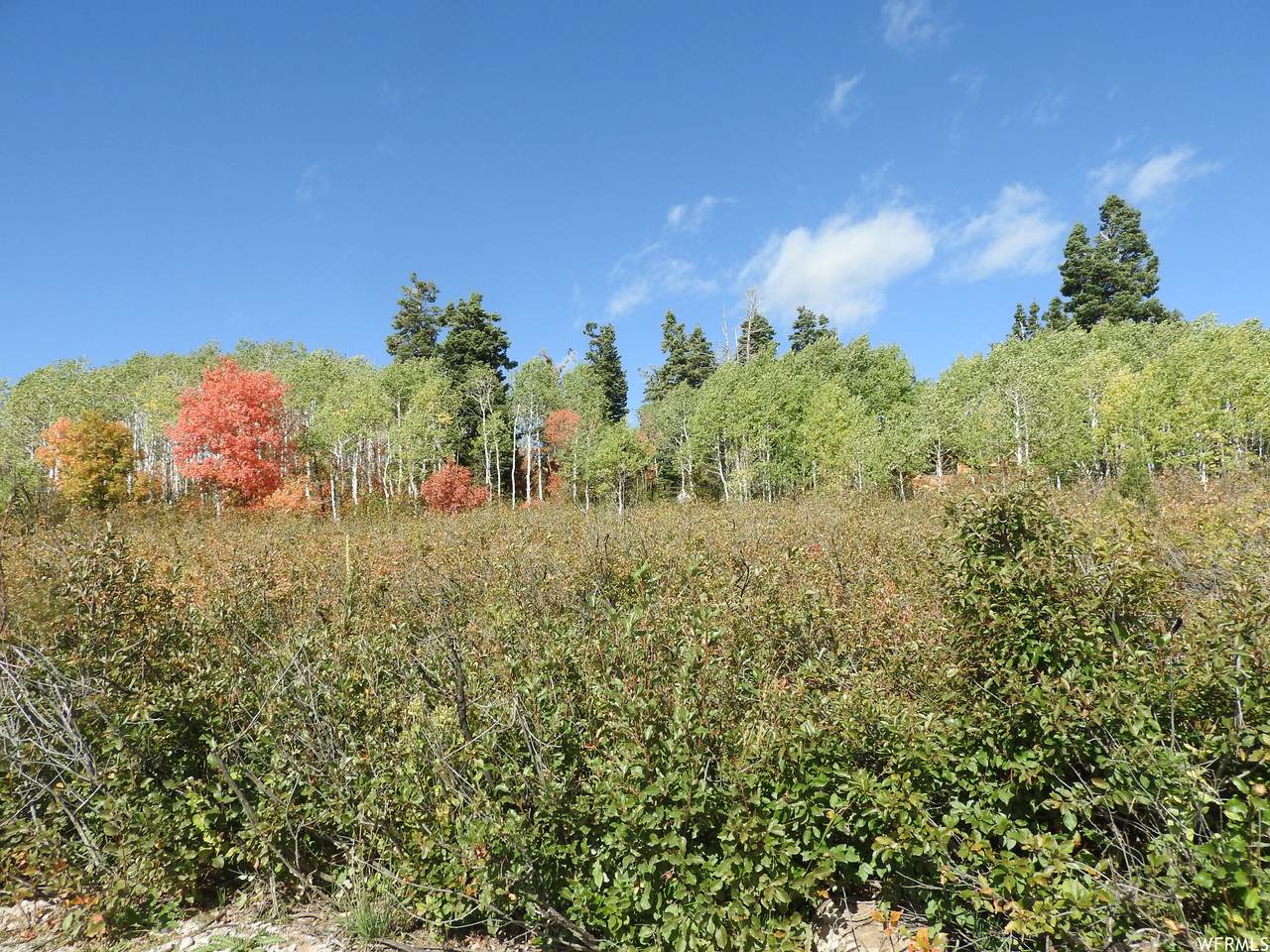 14 Main Road Dr - Photo 1