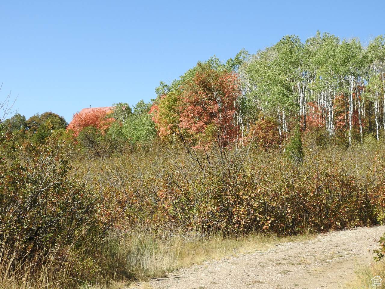 https://bt-photos.global.ssl.fastly.net/wasatch/1280_boomver_2_1905635-1.jpg