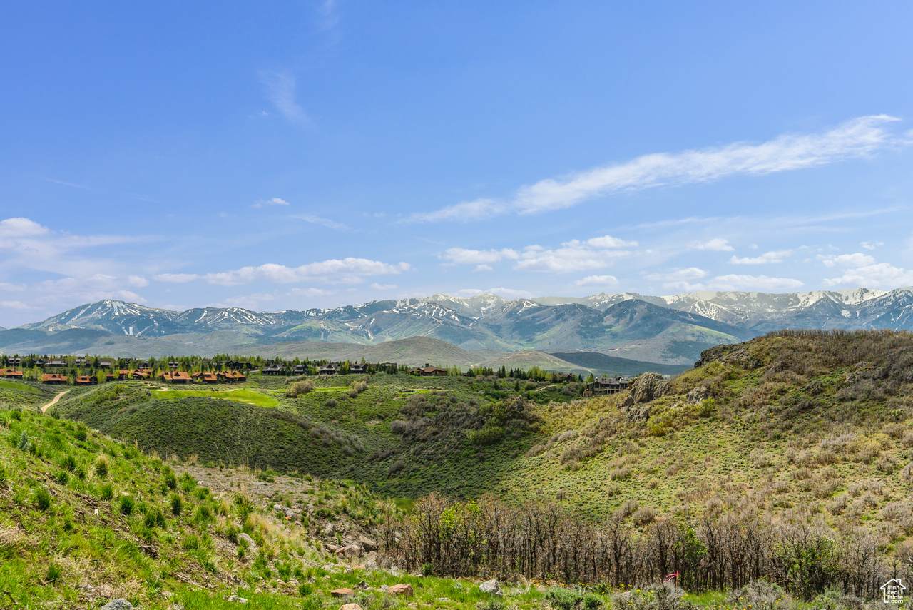 https://bt-photos.global.ssl.fastly.net/wasatch/1280_boomver_2_1995609-1.jpg