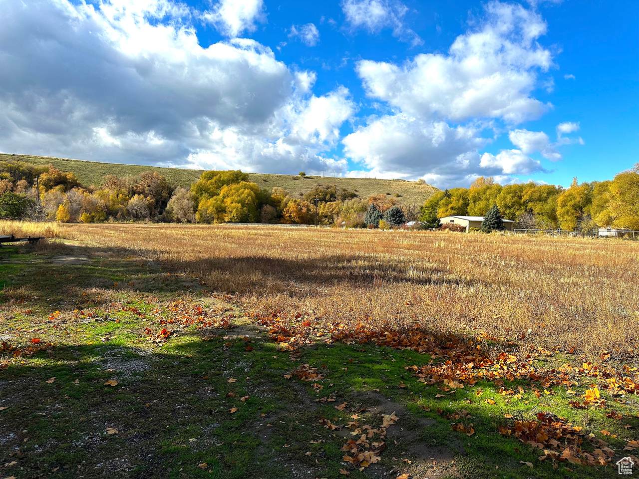 5025 Hollow Rd - Photo 1