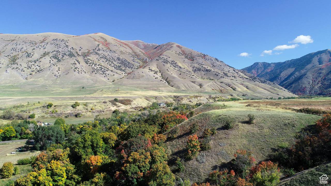 5025 Hollow Rd - Photo 1
