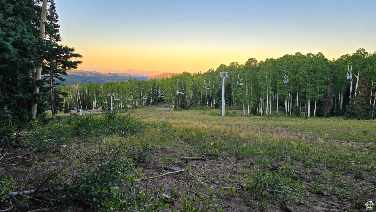 7 Elk - Photo 1