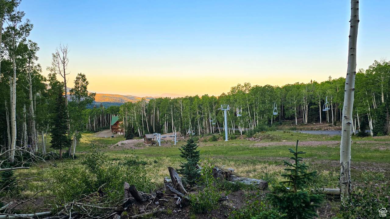8 Elk - Photo 1