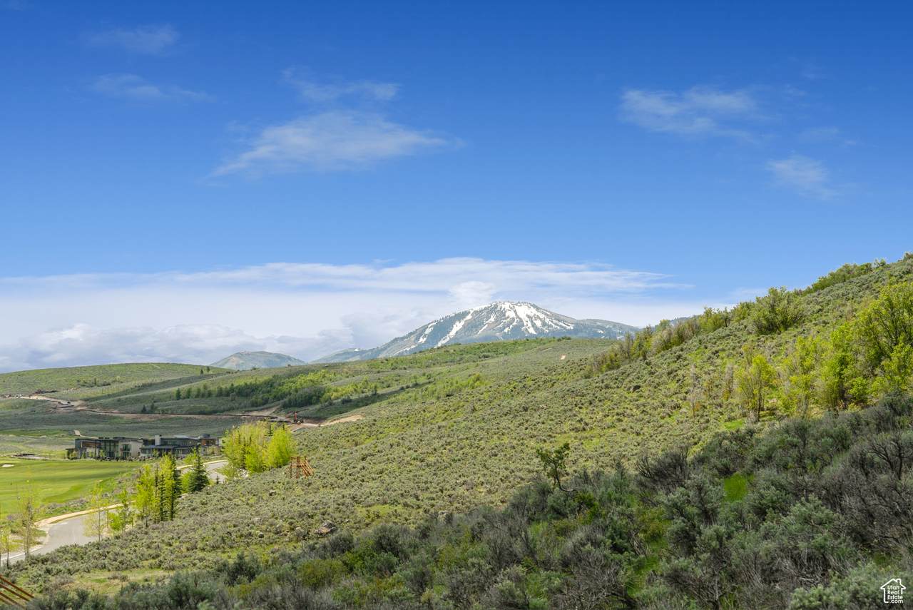 6393 Painted Valley Pass - Photo 1