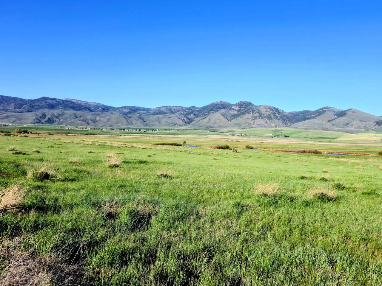 https://bt-photos.global.ssl.fastly.net/wasatch/1280_boomver_2_2066449-1.jpg