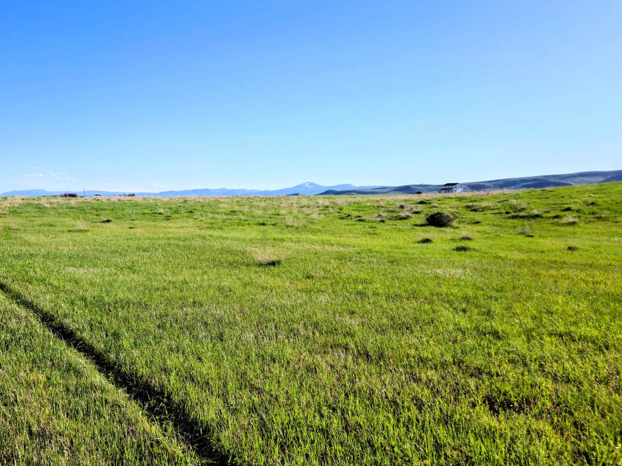 https://bt-photos.global.ssl.fastly.net/wasatch/1280_boomver_2_2066449-1.jpg