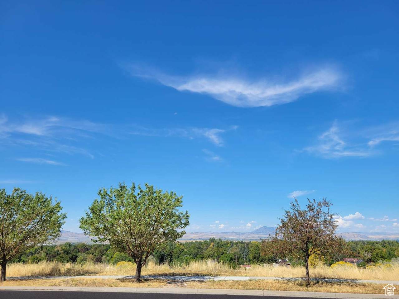 1405 Aspen Dr - Photo 1