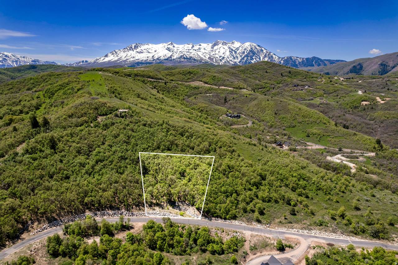 https://bt-photos.global.ssl.fastly.net/wasatch/1280_boomver_2_2070737-1.jpg