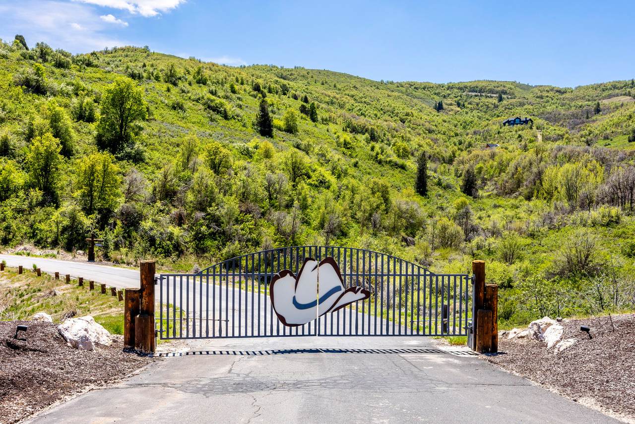 https://bt-photos.global.ssl.fastly.net/wasatch/1280_boomver_2_2070737-1.jpg