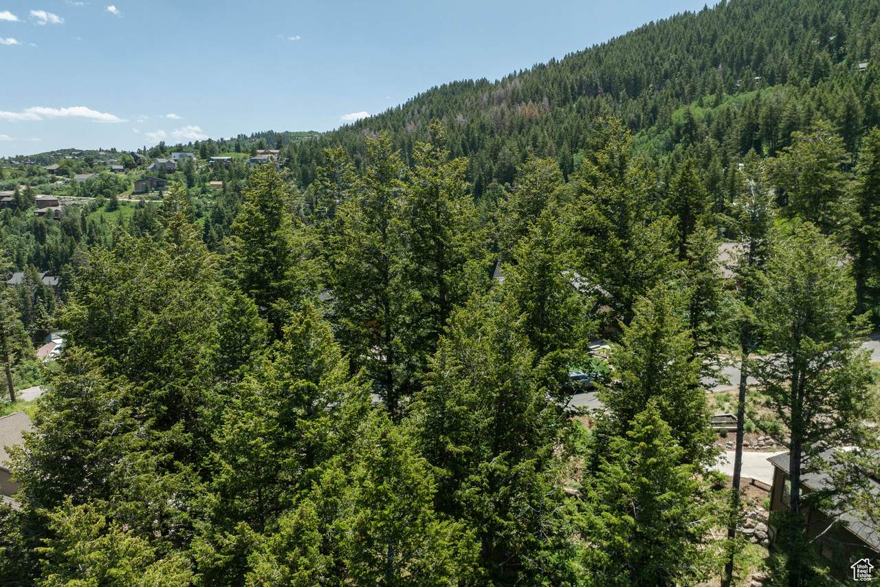 70 Matterhorn Dr - Photo 1