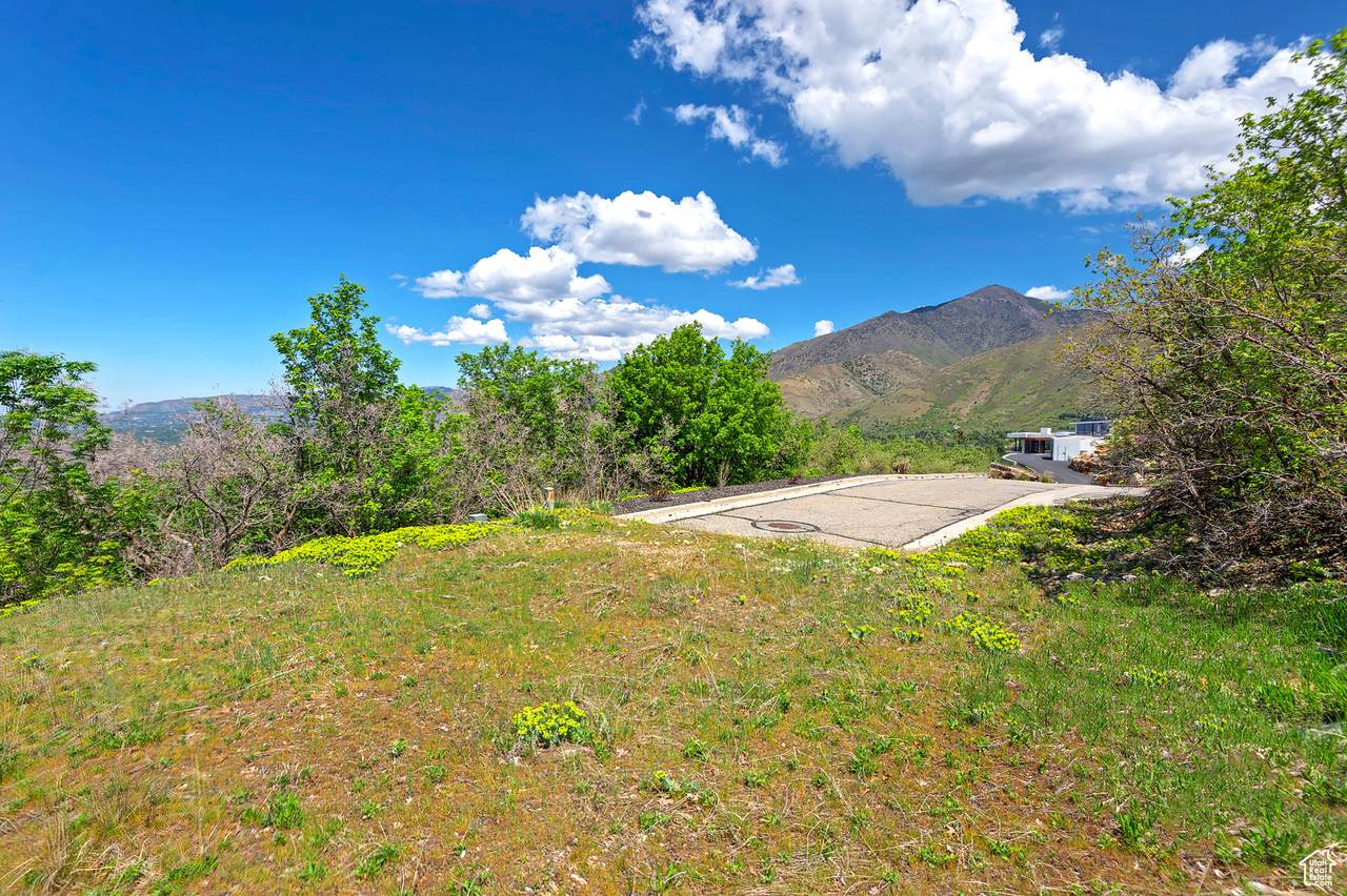 https://bt-photos.global.ssl.fastly.net/wasatch/1280_boomver_2_2082506-1.jpg