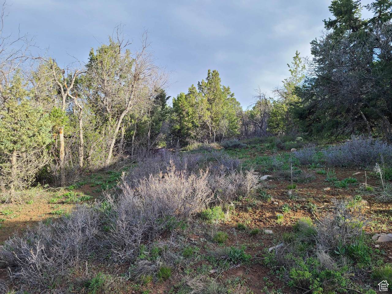 36250 10750 - Photo 1