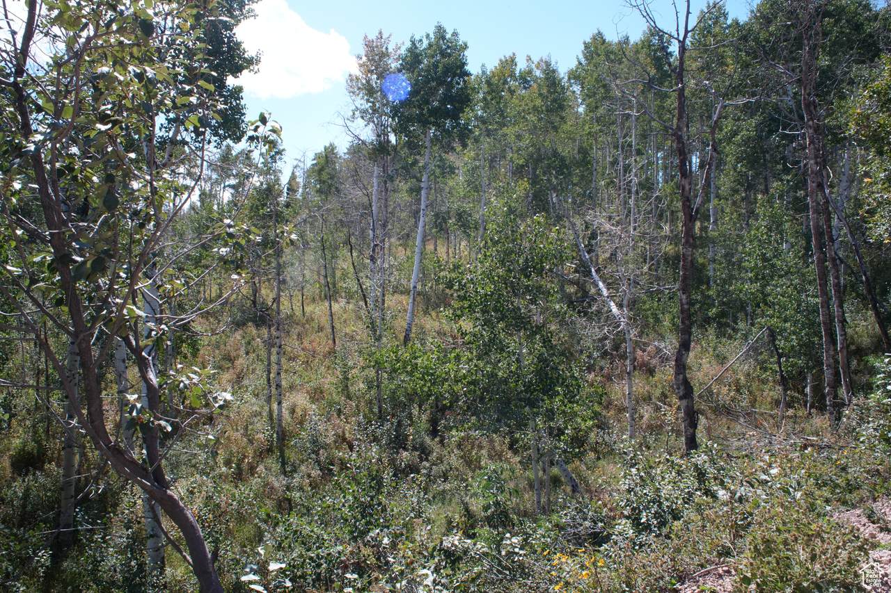 https://bt-photos.global.ssl.fastly.net/wasatch/1280_boomver_2_2084674-1.jpg