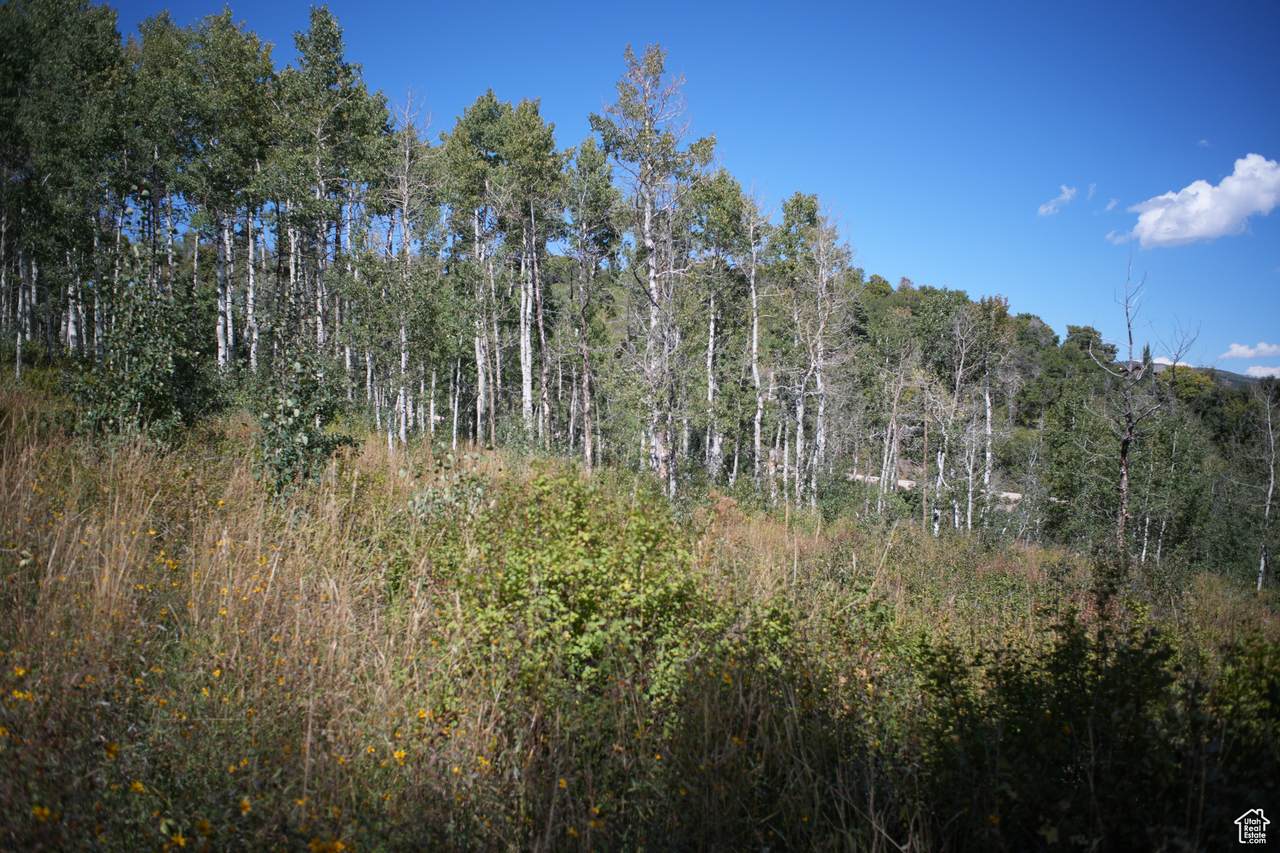 https://bt-photos.global.ssl.fastly.net/wasatch/1280_boomver_2_2084674-1.jpg