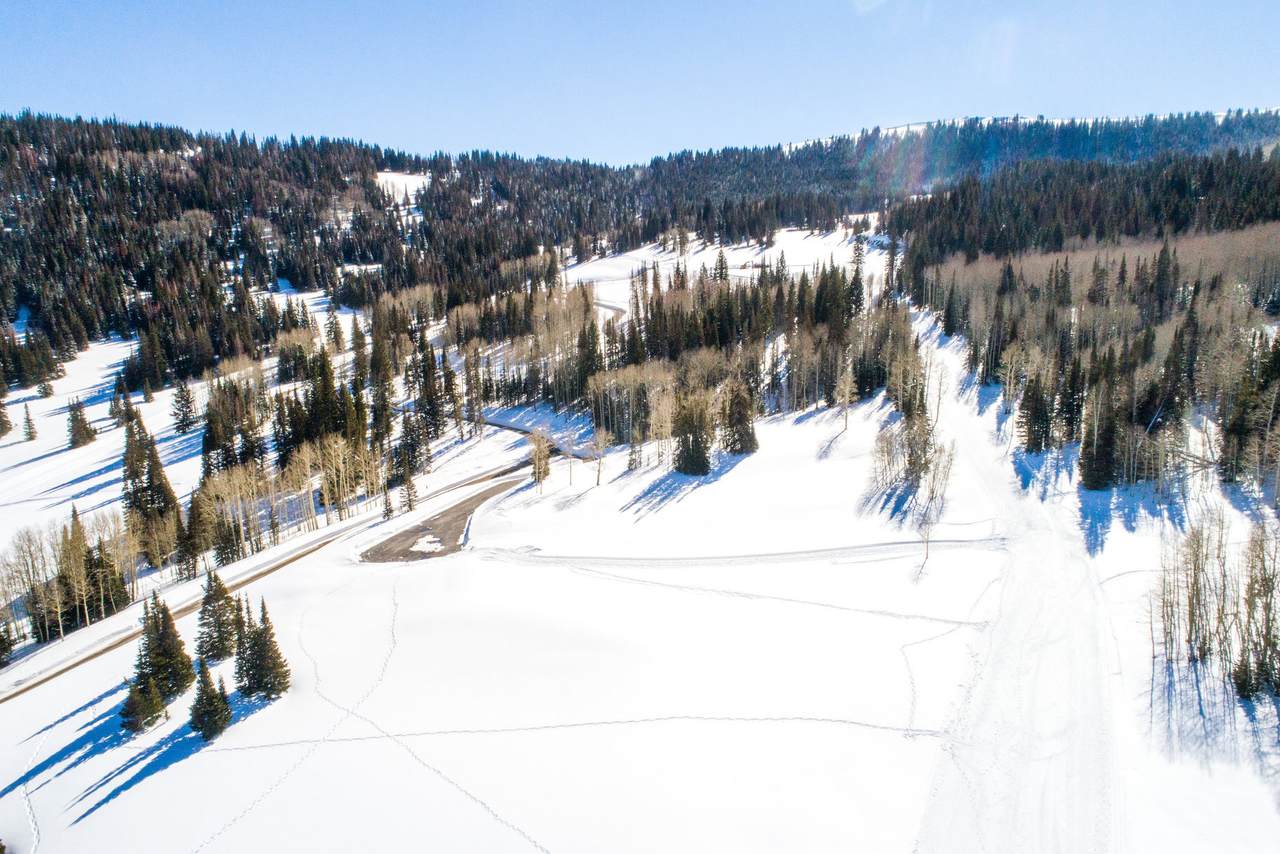 325 White Pine Canyon Rd - Photo 1
