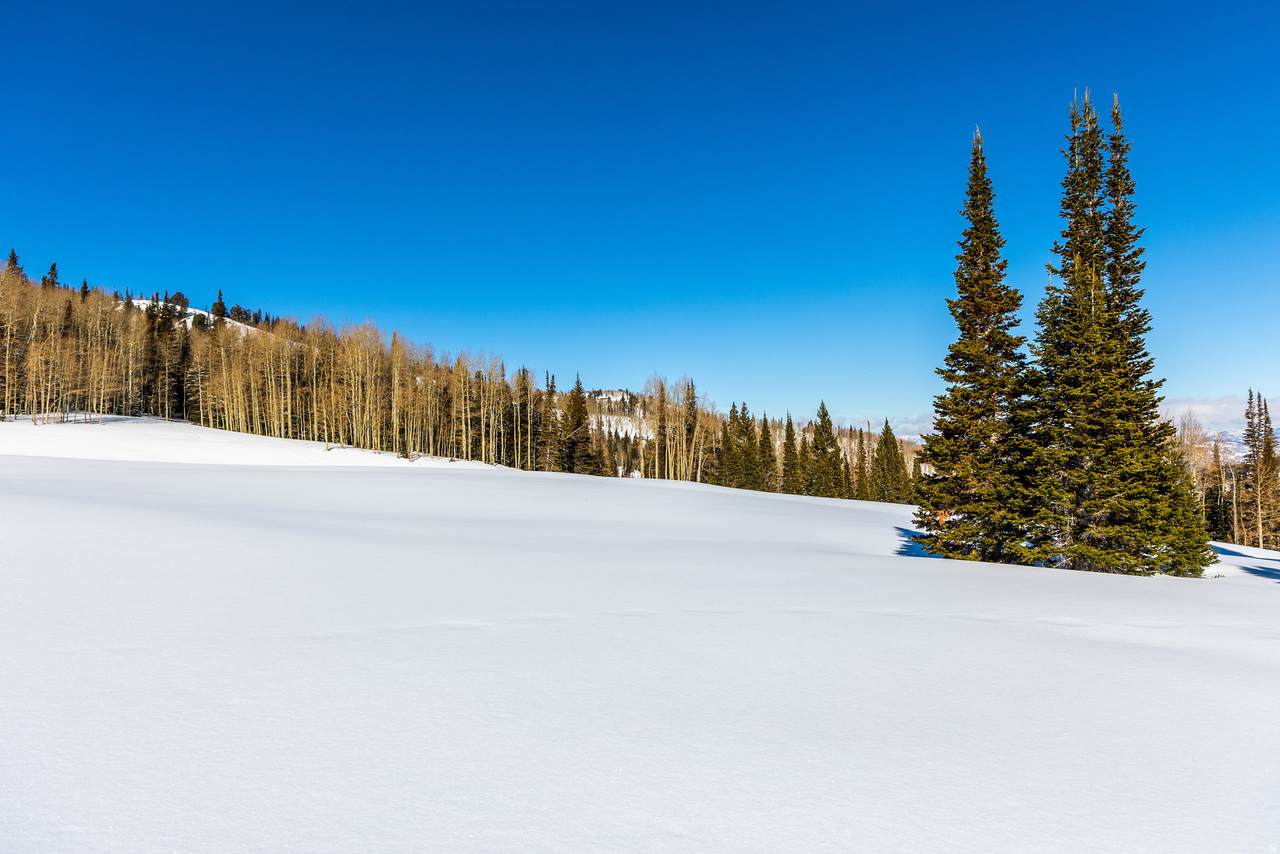 https://bt-photos.global.ssl.fastly.net/wasatch/1280_boomver_2_2090753-1.jpg