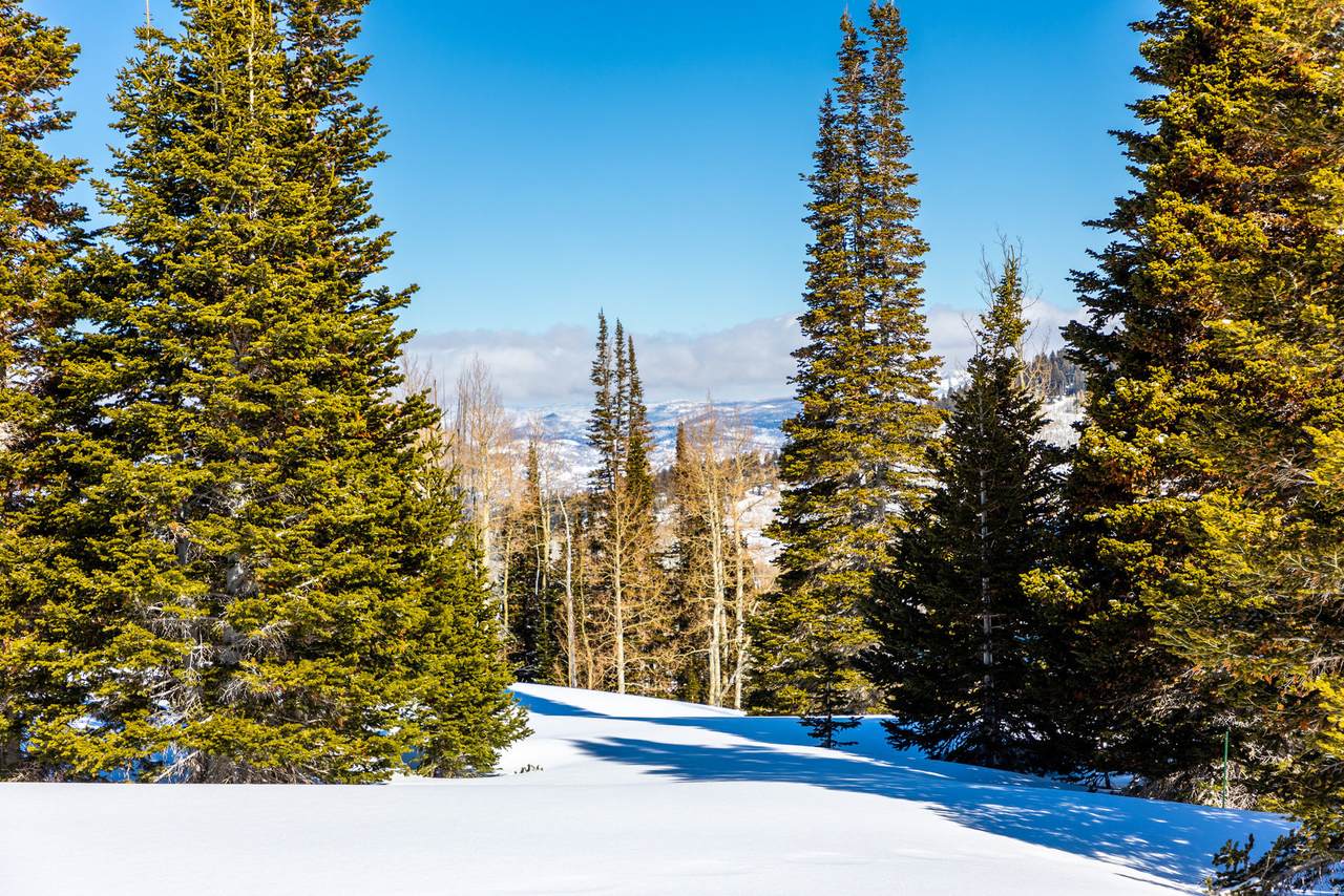 https://bt-photos.global.ssl.fastly.net/wasatch/1280_boomver_2_2090753-1.jpg