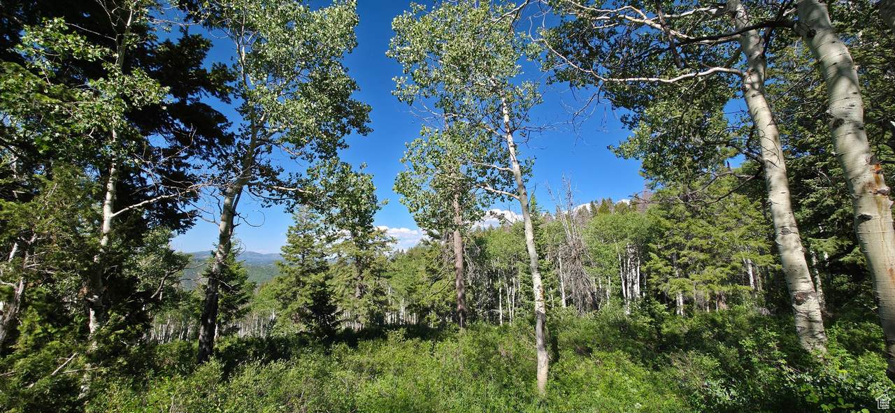 17603 Beaver Mountain Cir - Photo 1