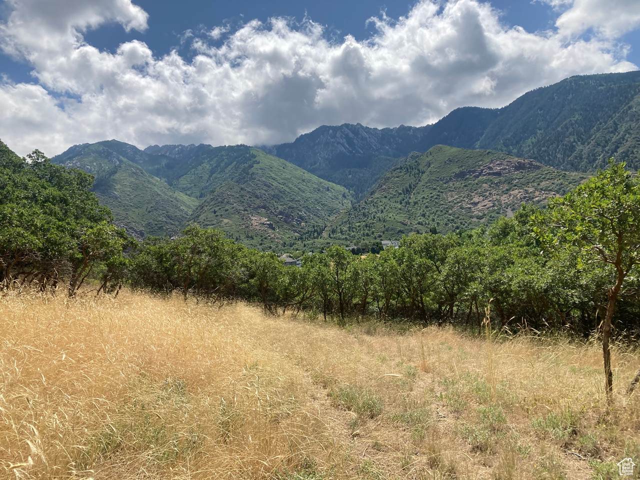 98 Lone Hollow Dr - Photo 1