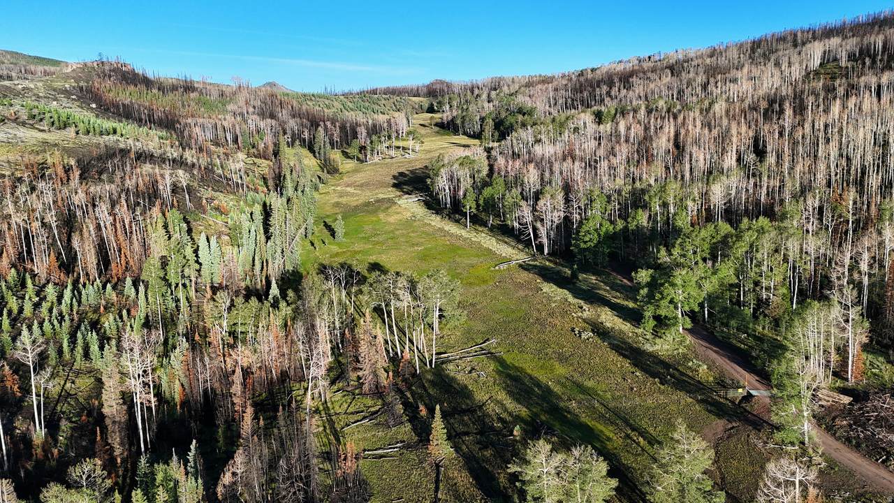 https://bt-photos.global.ssl.fastly.net/wasatch/1280_boomver_2_2095491-1.jpg