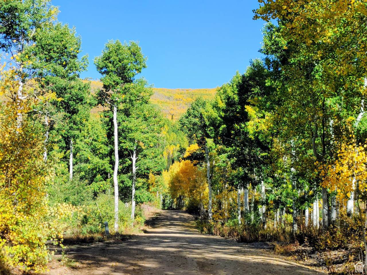 https://bt-photos.global.ssl.fastly.net/wasatch/1280_boomver_2_2096061-1.jpg
