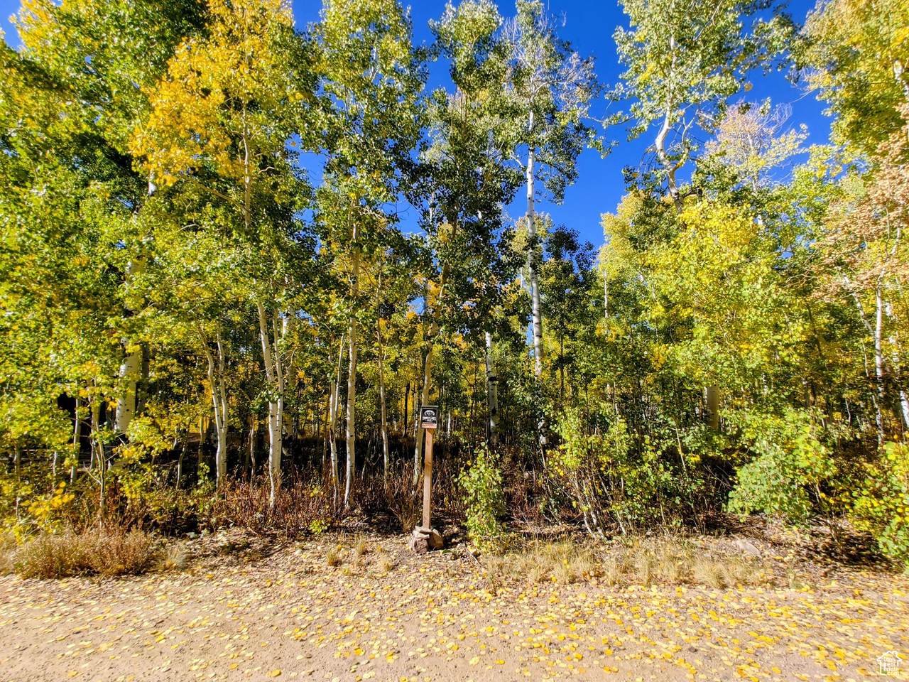 https://bt-photos.global.ssl.fastly.net/wasatch/1280_boomver_2_2096061-1.jpg