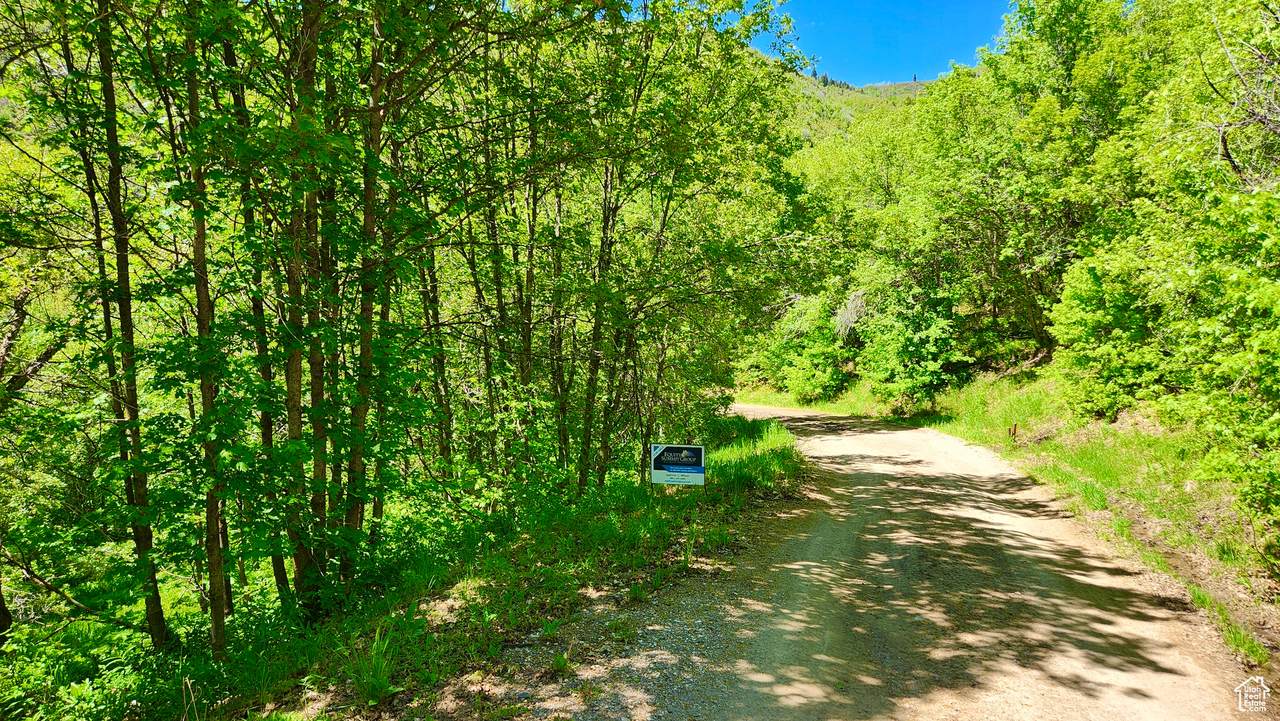 22440 Elk Meadows Dr Mdws - Photo 1