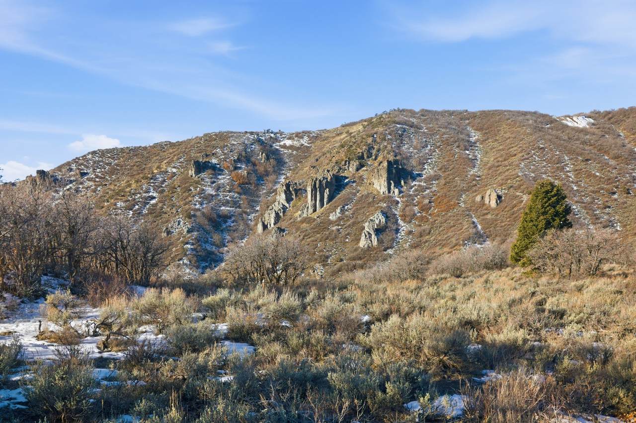 https://bt-photos.global.ssl.fastly.net/wasatch/1280_boomver_2_2098925-1.jpg