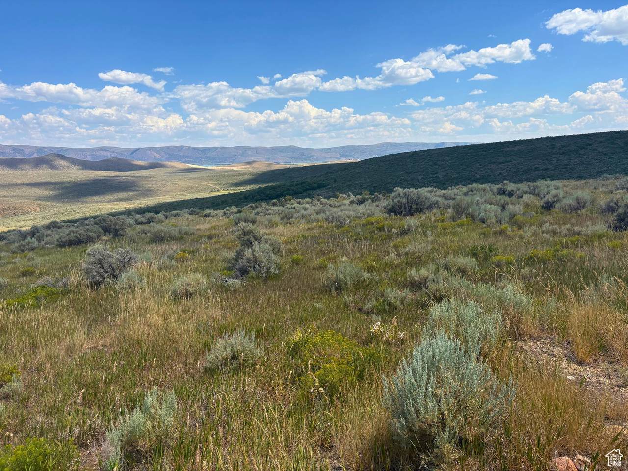 https://bt-photos.global.ssl.fastly.net/wasatch/1280_boomver_2_2099777-1.jpg