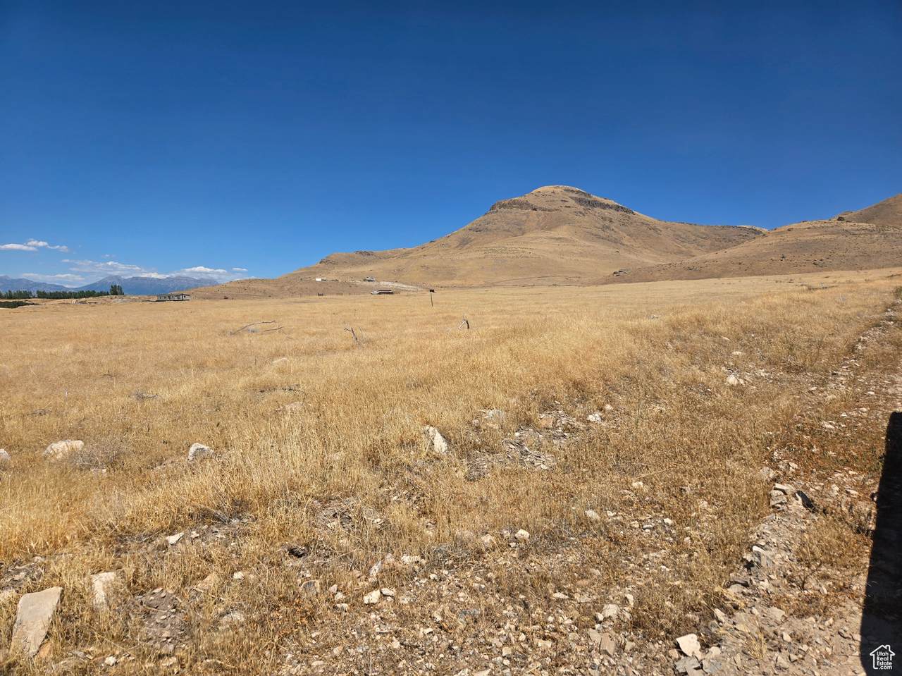 https://bt-photos.global.ssl.fastly.net/wasatch/1280_boomver_2_2100006-1.jpg