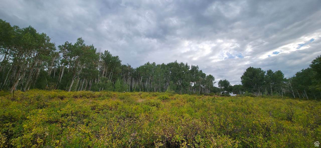  Address Not Published - Photo 1