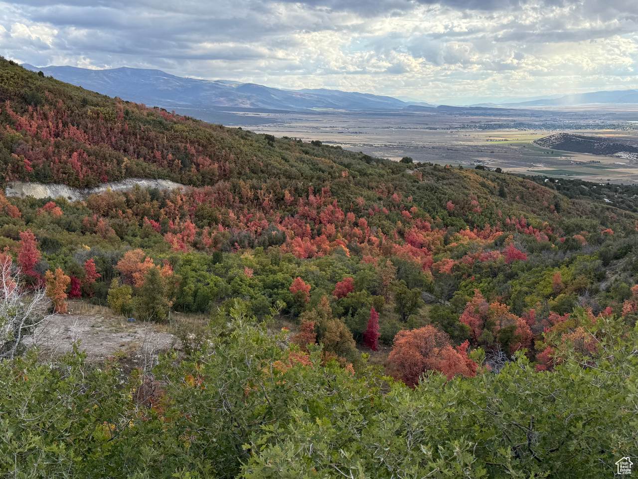 1 Archies Hideaway - Photo 1