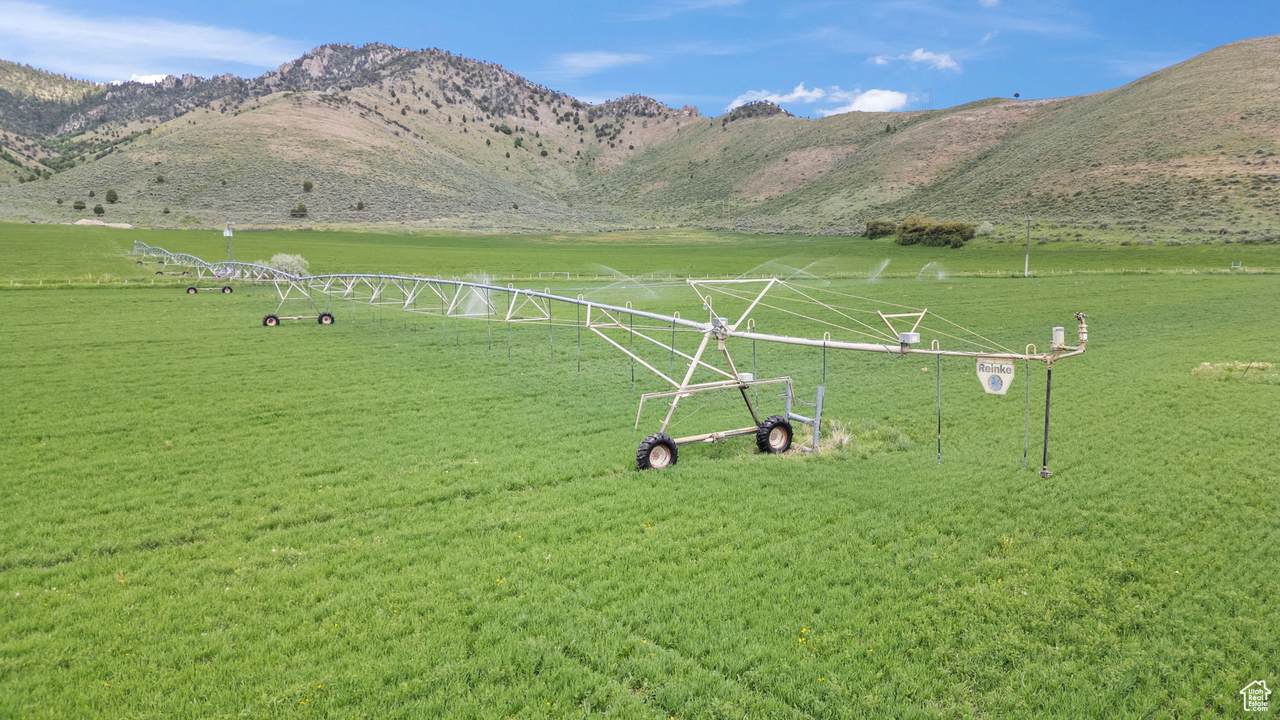 1657 Reed Ln - Photo 1