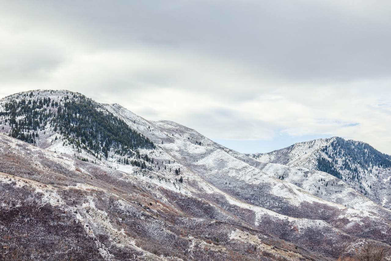https://bt-photos.global.ssl.fastly.net/wasatch/1280_boomver_1_2130782-1.jpg