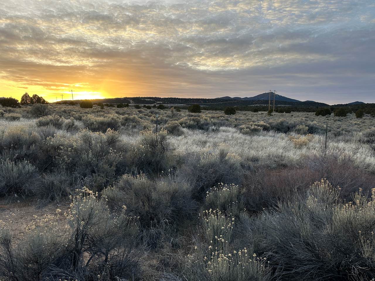 2410 11600 - Photo 1