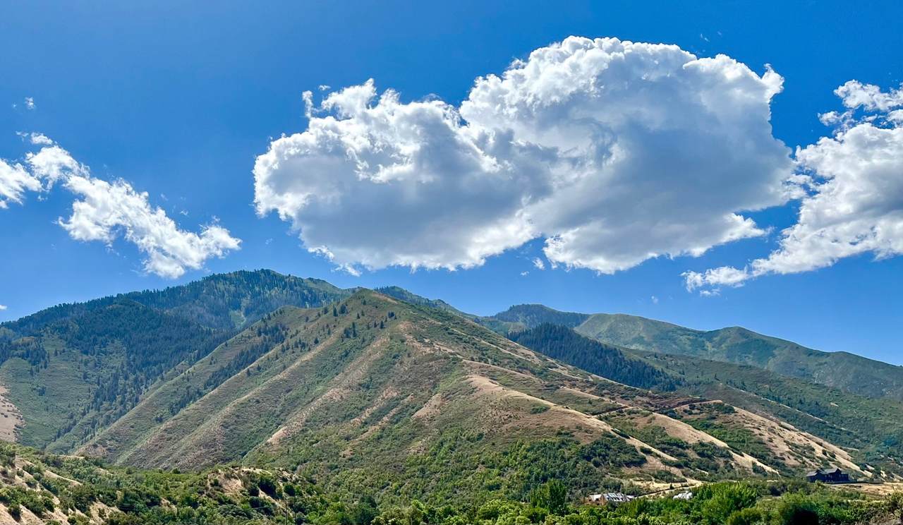 2056 Maple Hills Ln - Photo 1