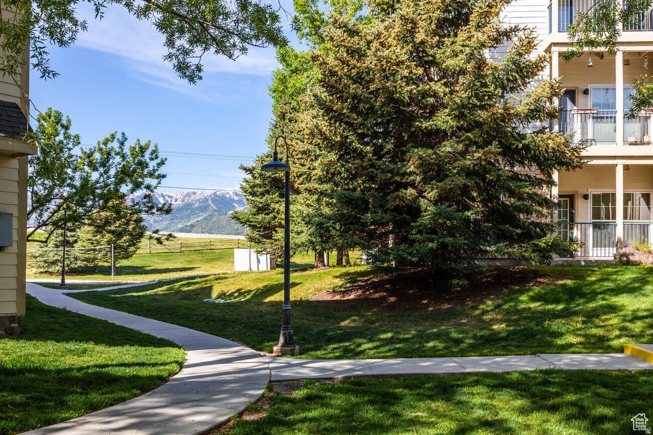 900 Bitner Rd - Photo 1