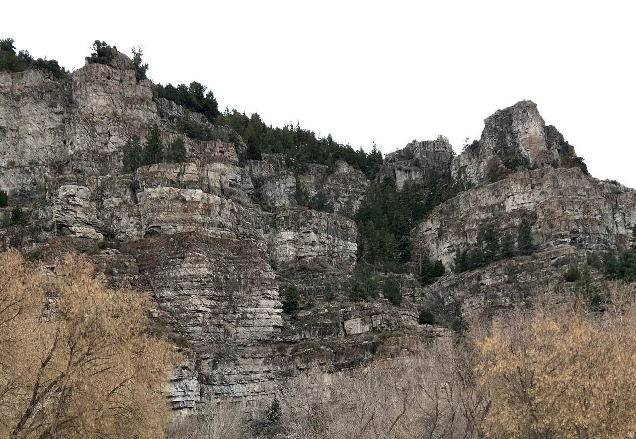 https://bt-photos.global.ssl.fastly.net/wasatch/1280_boomver_2_2136691-1.jpg