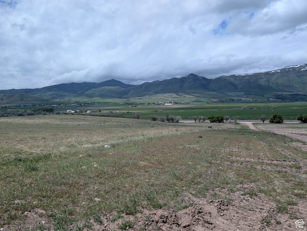 https://bt-photos.global.ssl.fastly.net/wasatch/1280_boomver_2_2137112-1.jpg