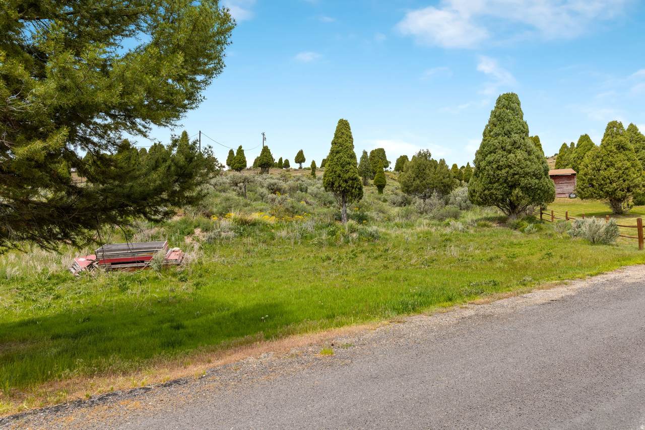 https://bt-photos.global.ssl.fastly.net/wasatch/1280_boomver_2_2139135-1.jpg