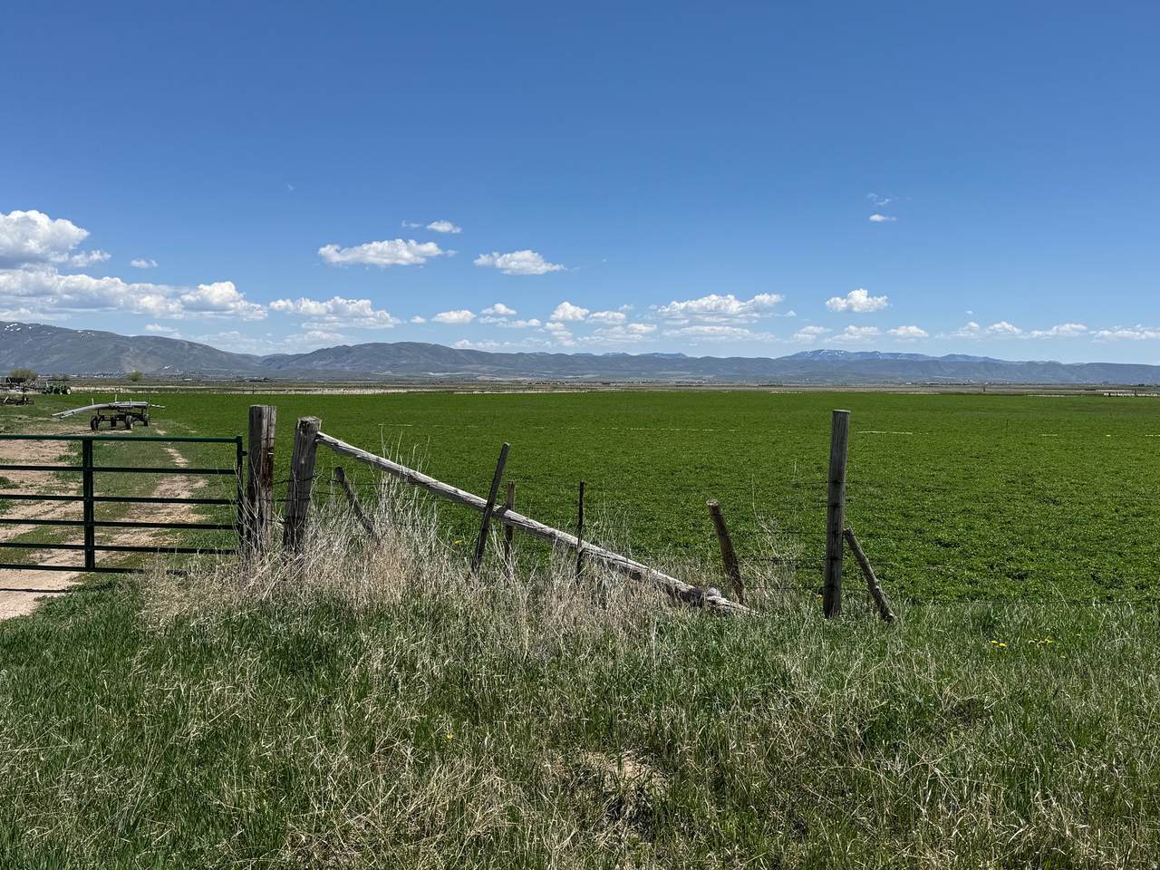 https://bt-photos.global.ssl.fastly.net/wasatch/1280_boomver_2_2140759-1.jpg